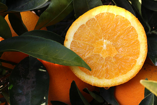 Sunshine in Every Bite: Organic Orange Chips