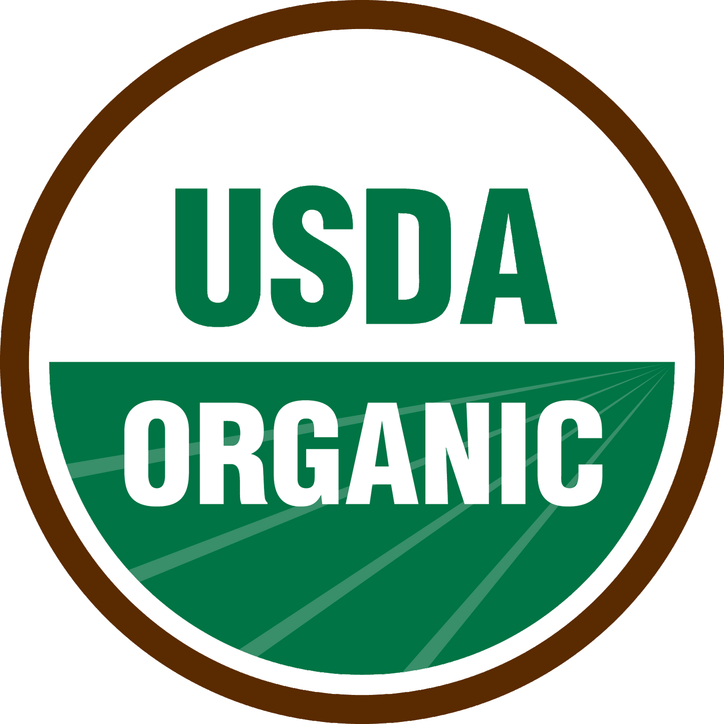 Organic Dried Mango Strips