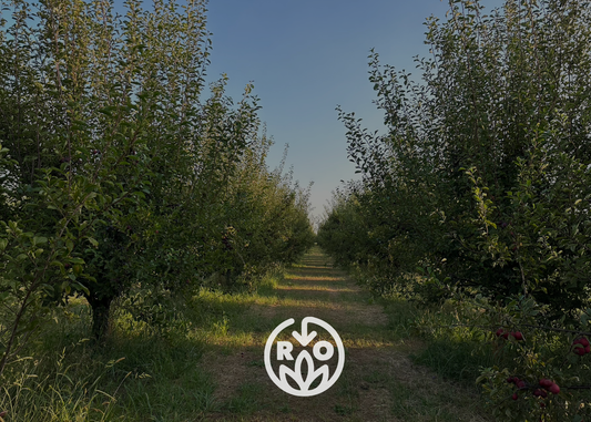 October in the Orchards: Cultivating a Healthier Earth