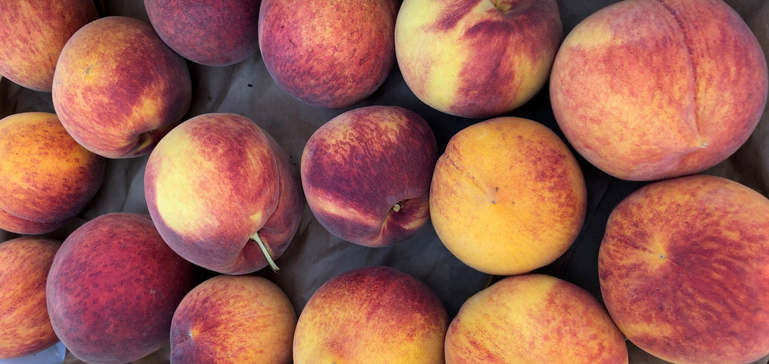 August Elation: Peaches and Nectarines Have Arrived!